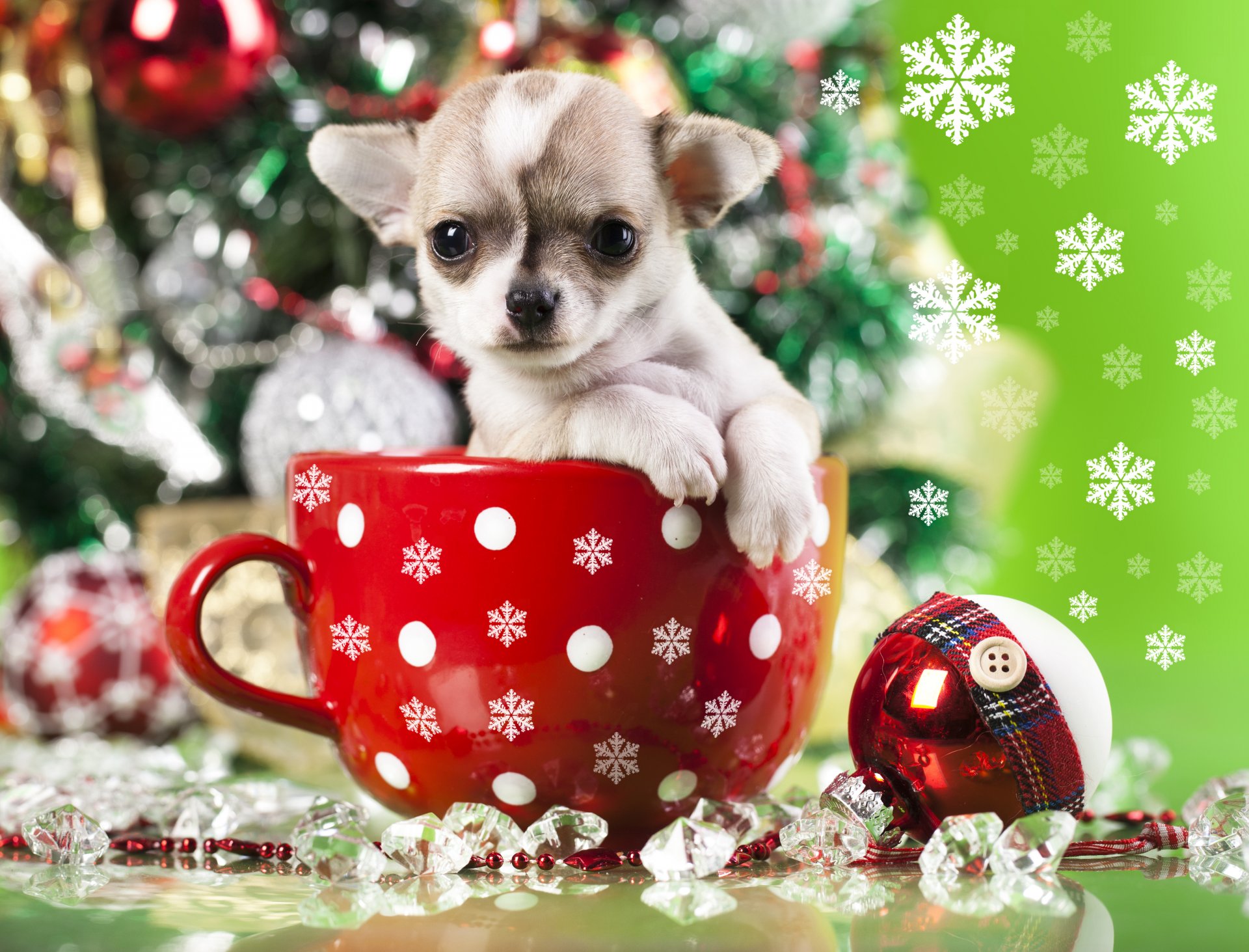 chihuahua perro cachorro taza copos de nieve juguete bola decoración