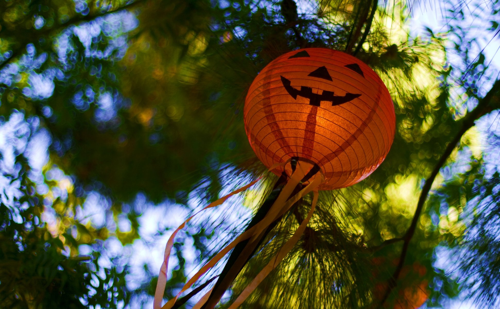 natura sfocatura bokeh torcia elettrica zucca halloween felice allo vacanza