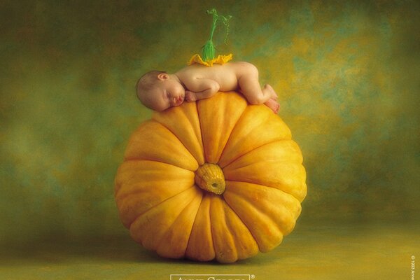 A small child and a ripe pumpkin