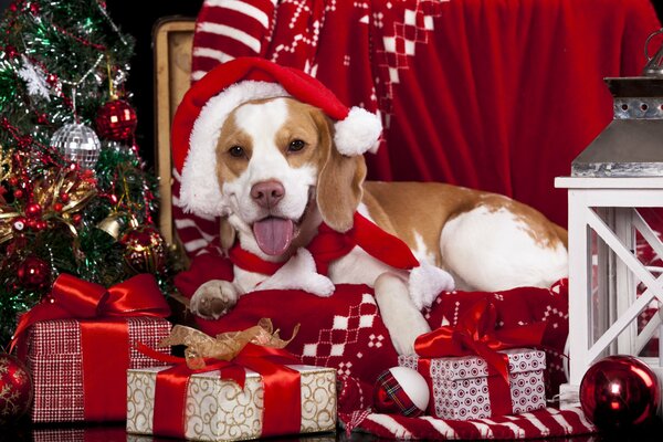 Ein langjähriger Freund und Helfer des alten Weihnachtsmanns im Dienst