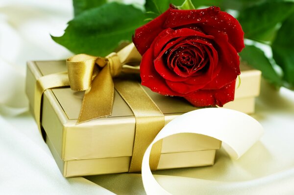 Geschenkbox mit roter Rose