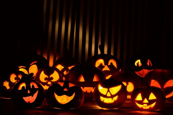 A whole gang of pumpkin lanterns