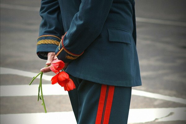 Tulips as a gift to a veteran in honor of Victory Day