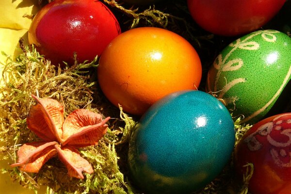 Uova di Pasqua di tutti i colori