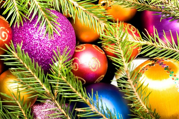 Cantica de año nuevo con ramas de árbol de Navidad