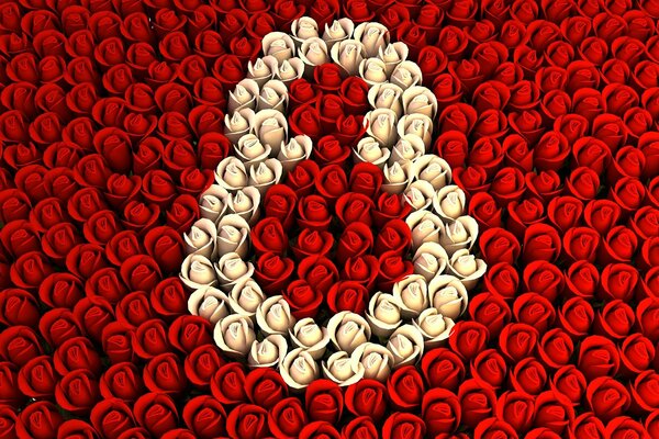 White roses on a background of red roses and congratulations on March 8