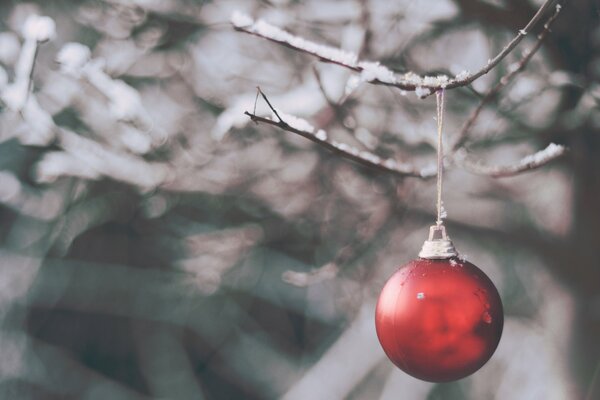 Bola de Navidad krsny en la nieve