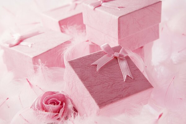 Soft pink boxes for loved ones