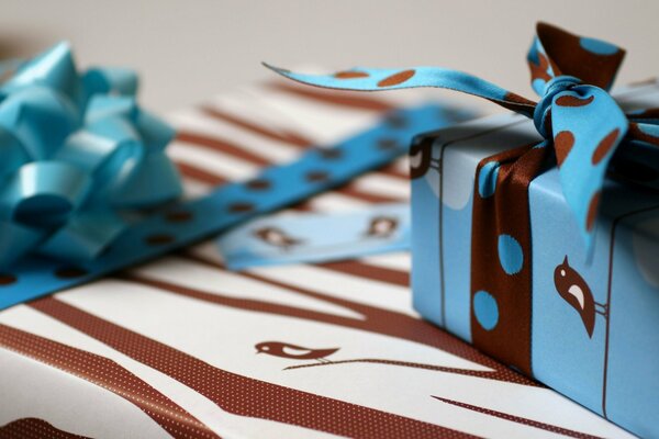 Confezione regalo blu con nastri