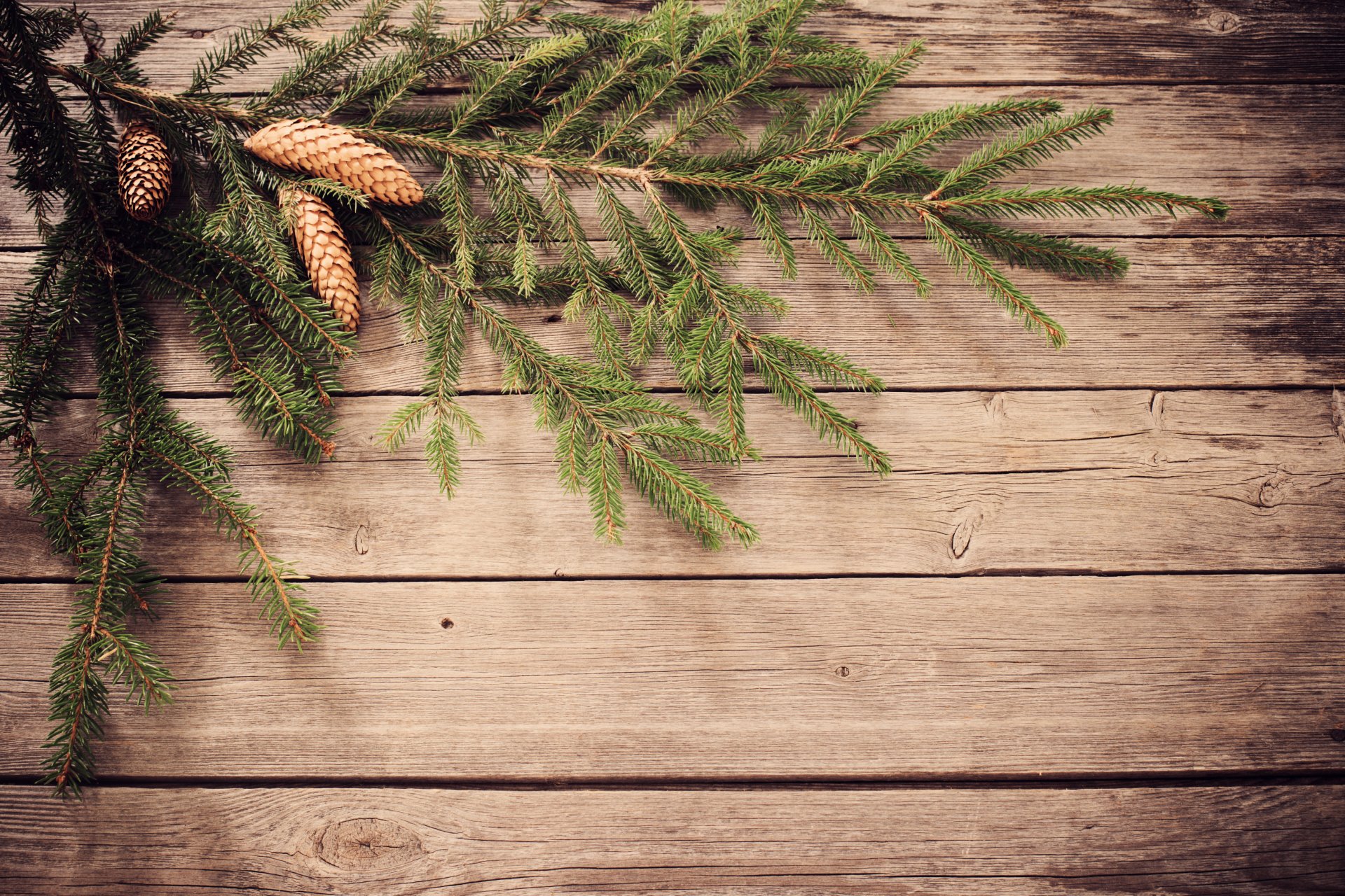 joyeux noël décoration noël. nouvel an arbre de noël cônes brindille