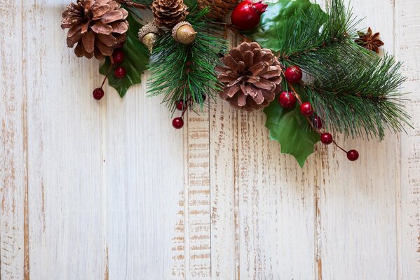 Branche d épinette avec des épines sur fond de mur blanc