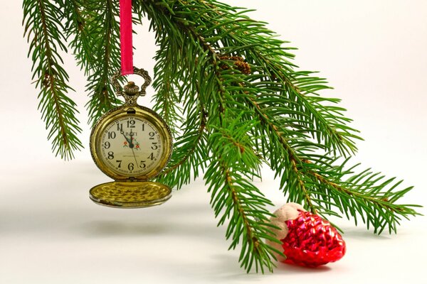 Pocket watch on a Christmas tree branch