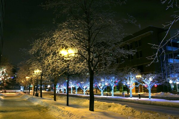 The snow-covered city sleeps at night