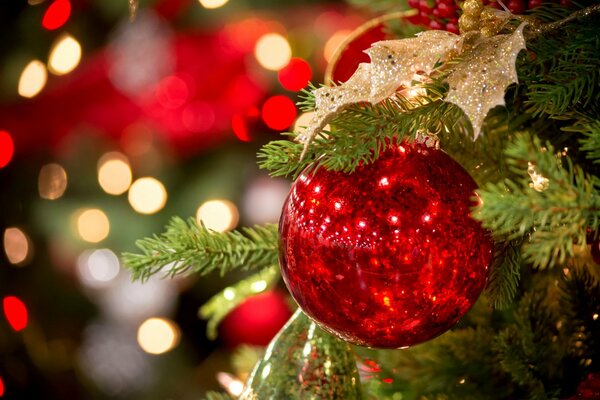 A red shiny ball on a fir branch