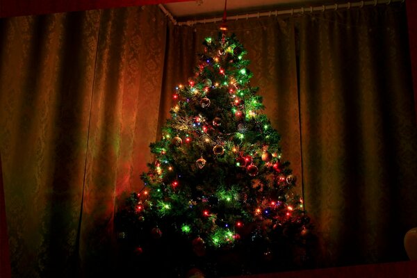 Christmas tree on New Year s Eve