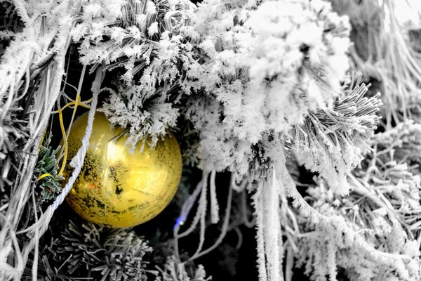 Snow tree and golden ball