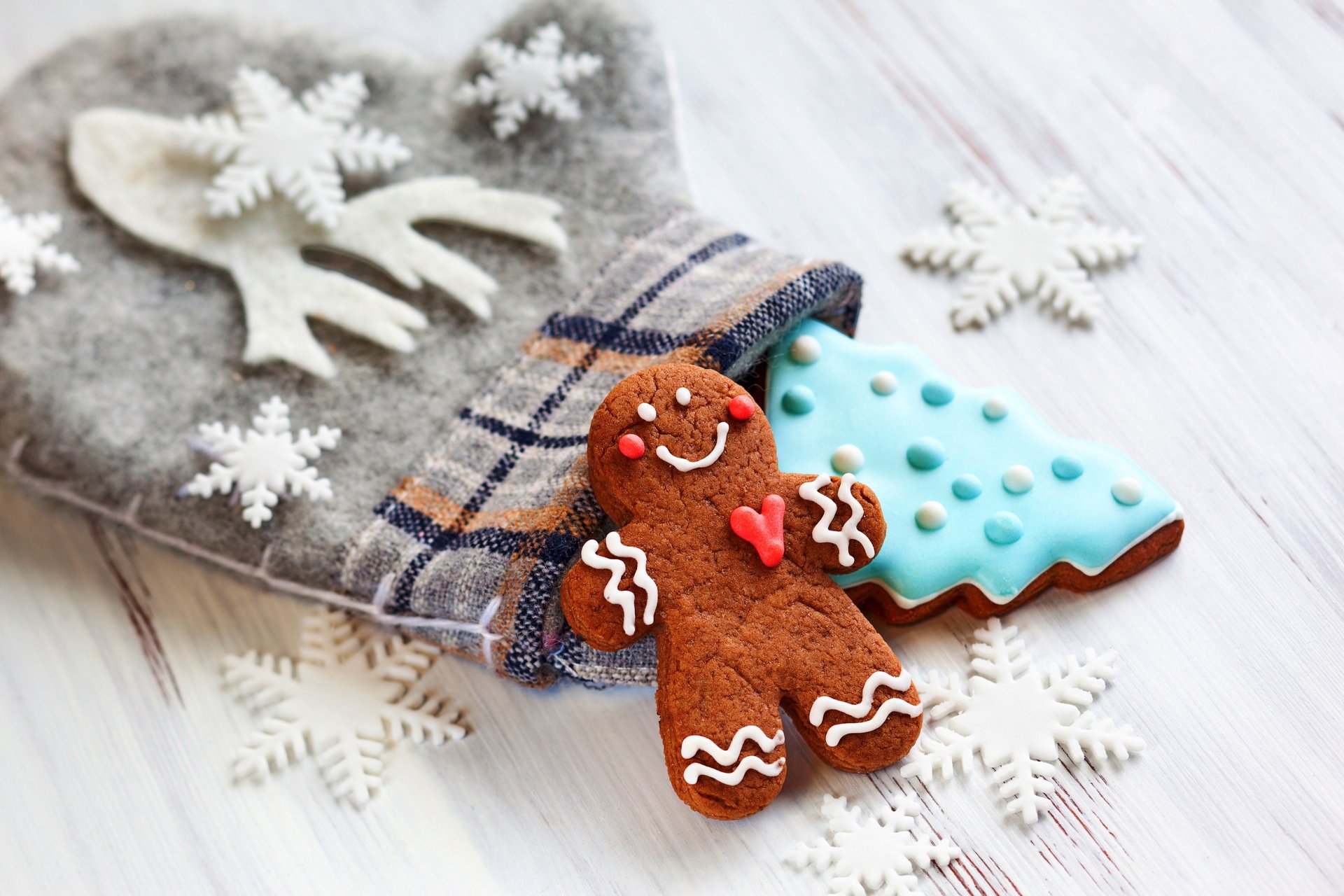 nuovo anno natale biscotti decorazione pan di zenzero pan di zenzero biscotti guanto