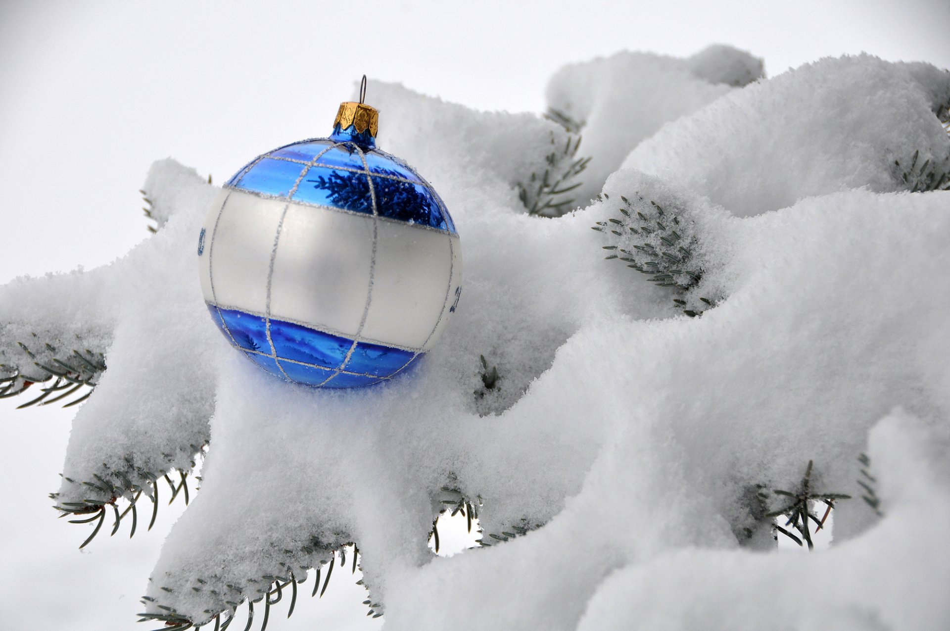 palla palla blu bianco rami neve abete giocattolo albero di natale inverno natura vacanze nuovo anno natale