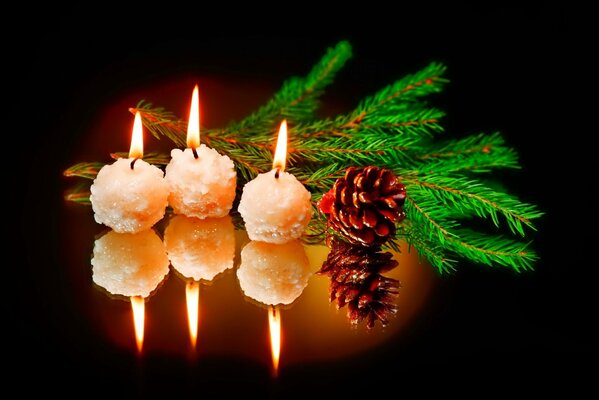 Velas de Navidad con rama de árbol de Navidad y cono de pino