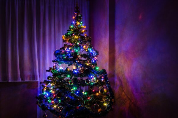 Elegant Christmas tree in the light of garlands