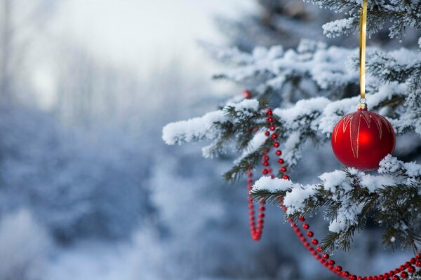 Belle image de forêt de Noël