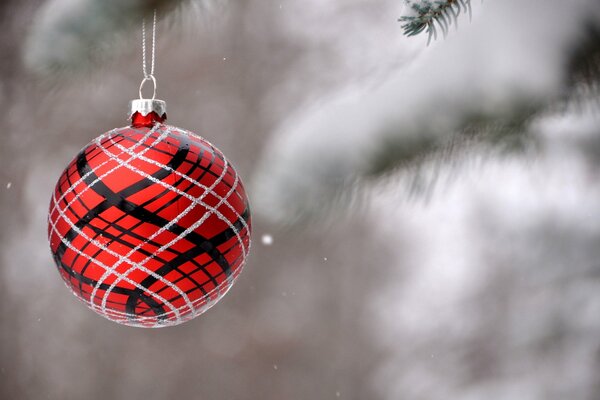 Rote Weihnachtskugel hängt am Weihnachtsbaum