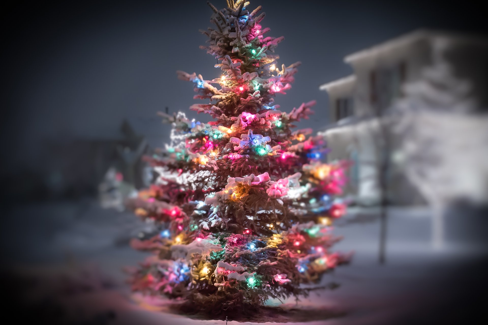 nieve invierno árbol de navidad luces guirnalda año nuevo