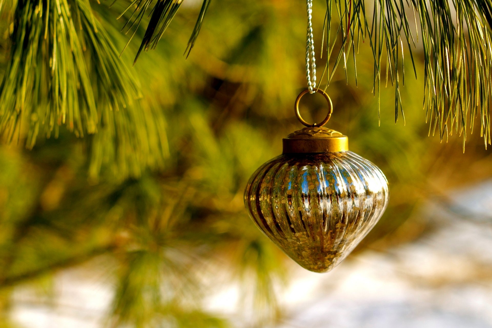 jouet arbre de noël branche pin aiguilles hiver vacances nouvel an noël