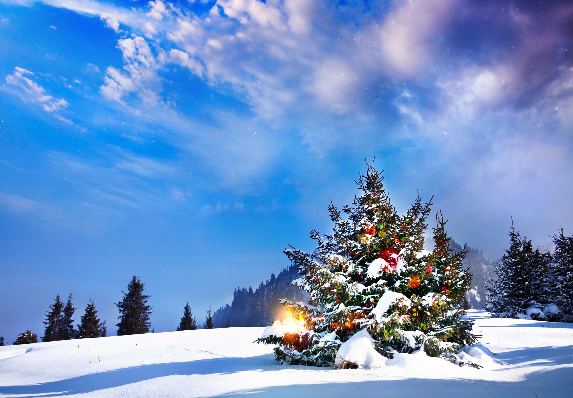 natale albero inverno paesaggio neve inverno albero di natale nuovo anno