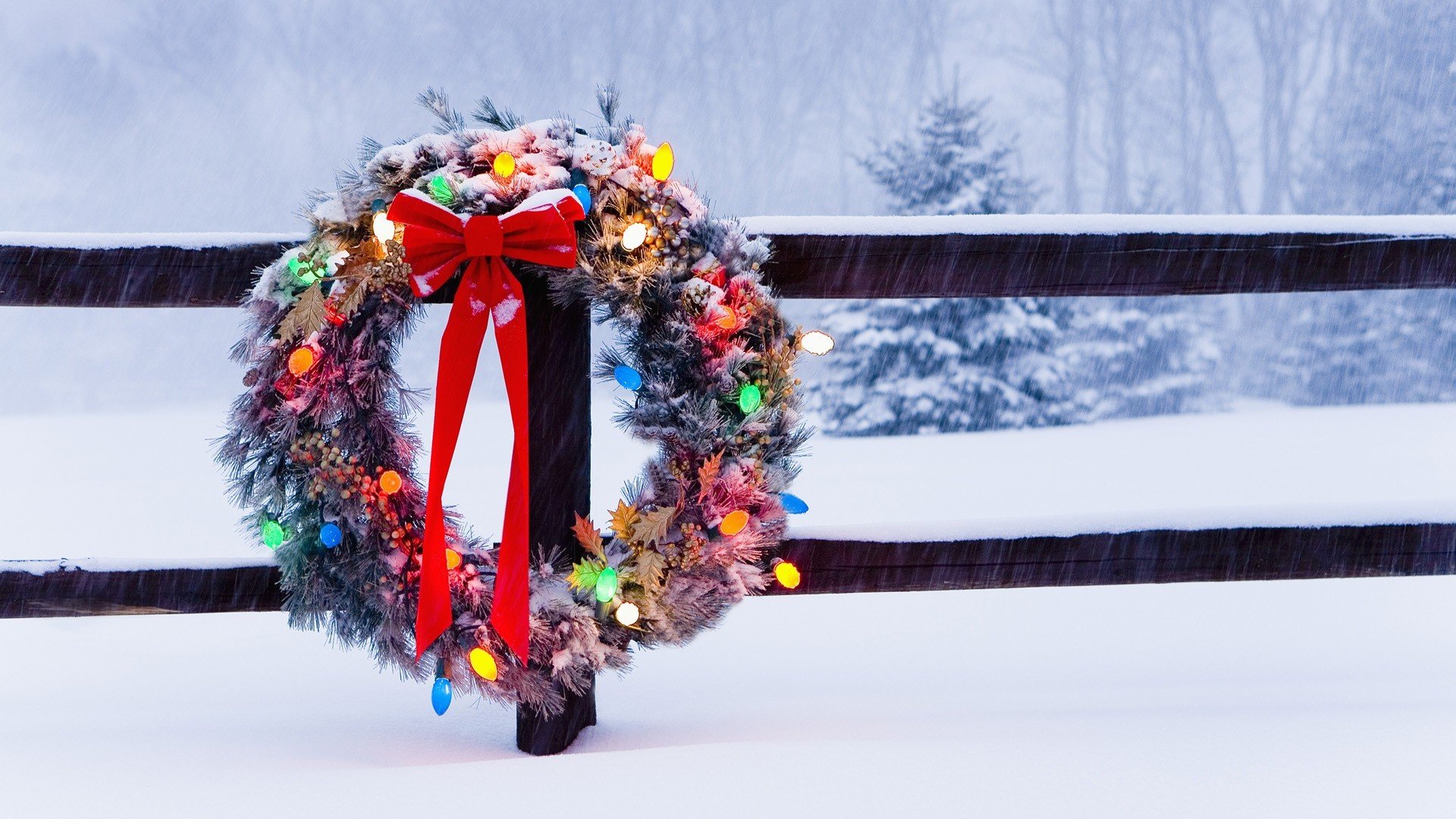 winter urlaub weihnachten zaun kranz glühbirnen band bogen bäume