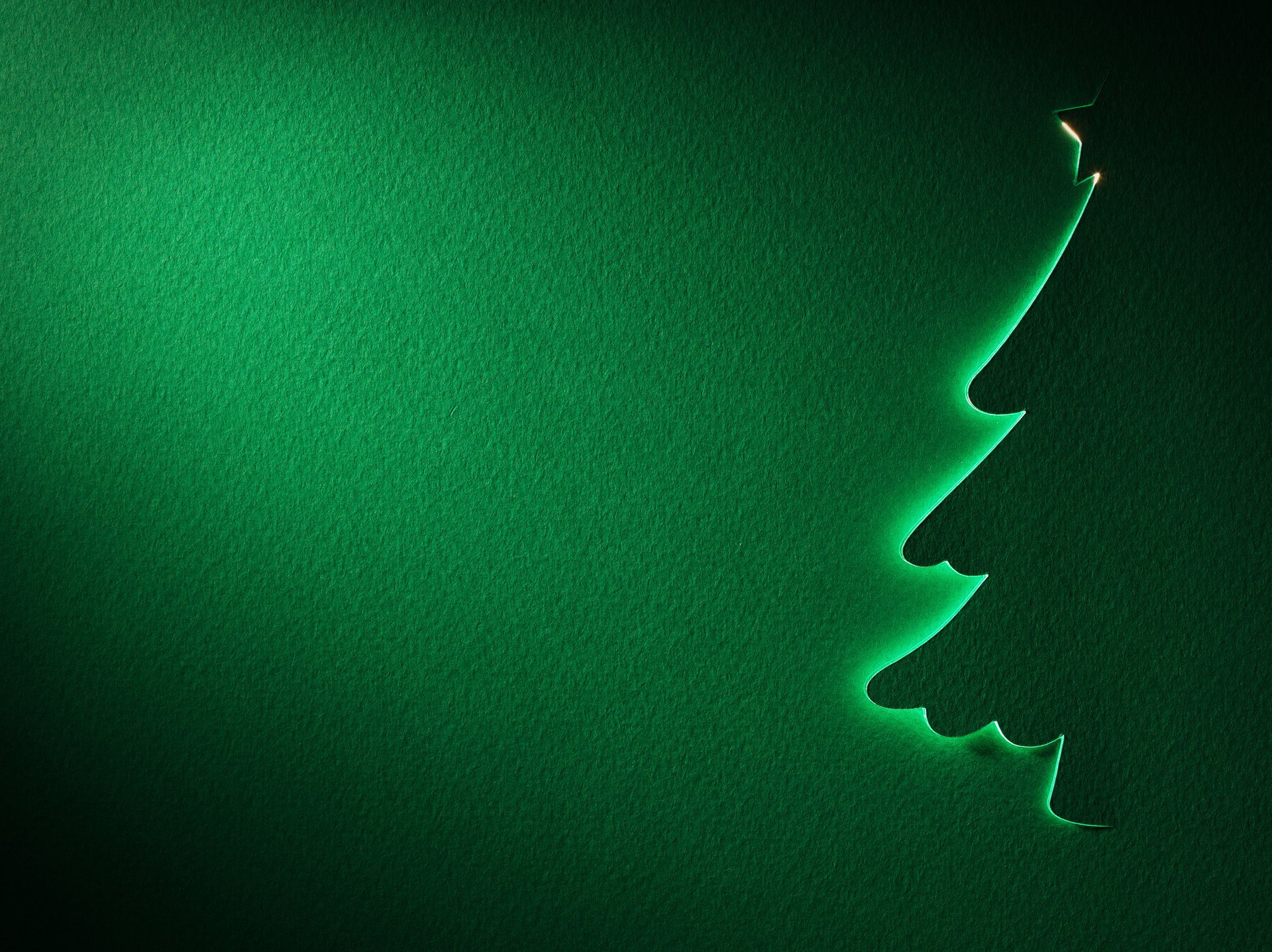 new year silhouette christmas tree star green texture