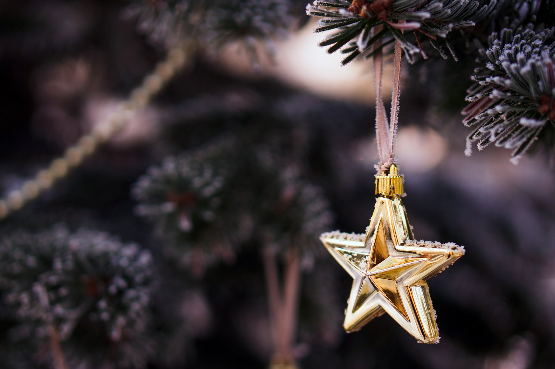 invierno ramas árbol árbol de navidad abeto juguete estrella dorado decoración vacaciones año nuevo navidad