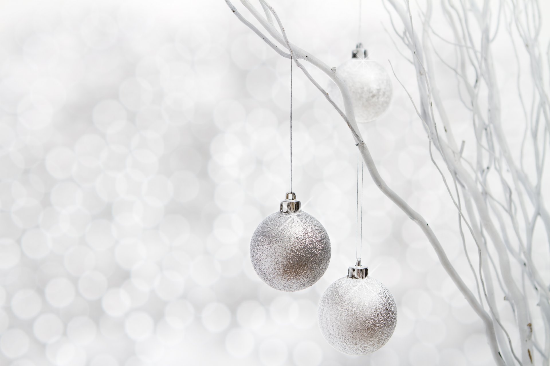 balls silver branches toys christmas tree decoration decorations winter holidays new year christma