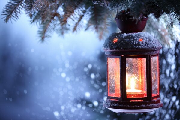 Lanterne festive avec une bougie, sur un arbre de Noël d hiver