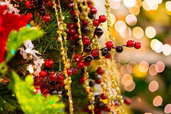 A branch of red decoration among the fir branches