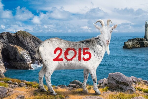 Symbol of the new year 2015 goat