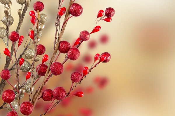 Red and silver twigs for decoration