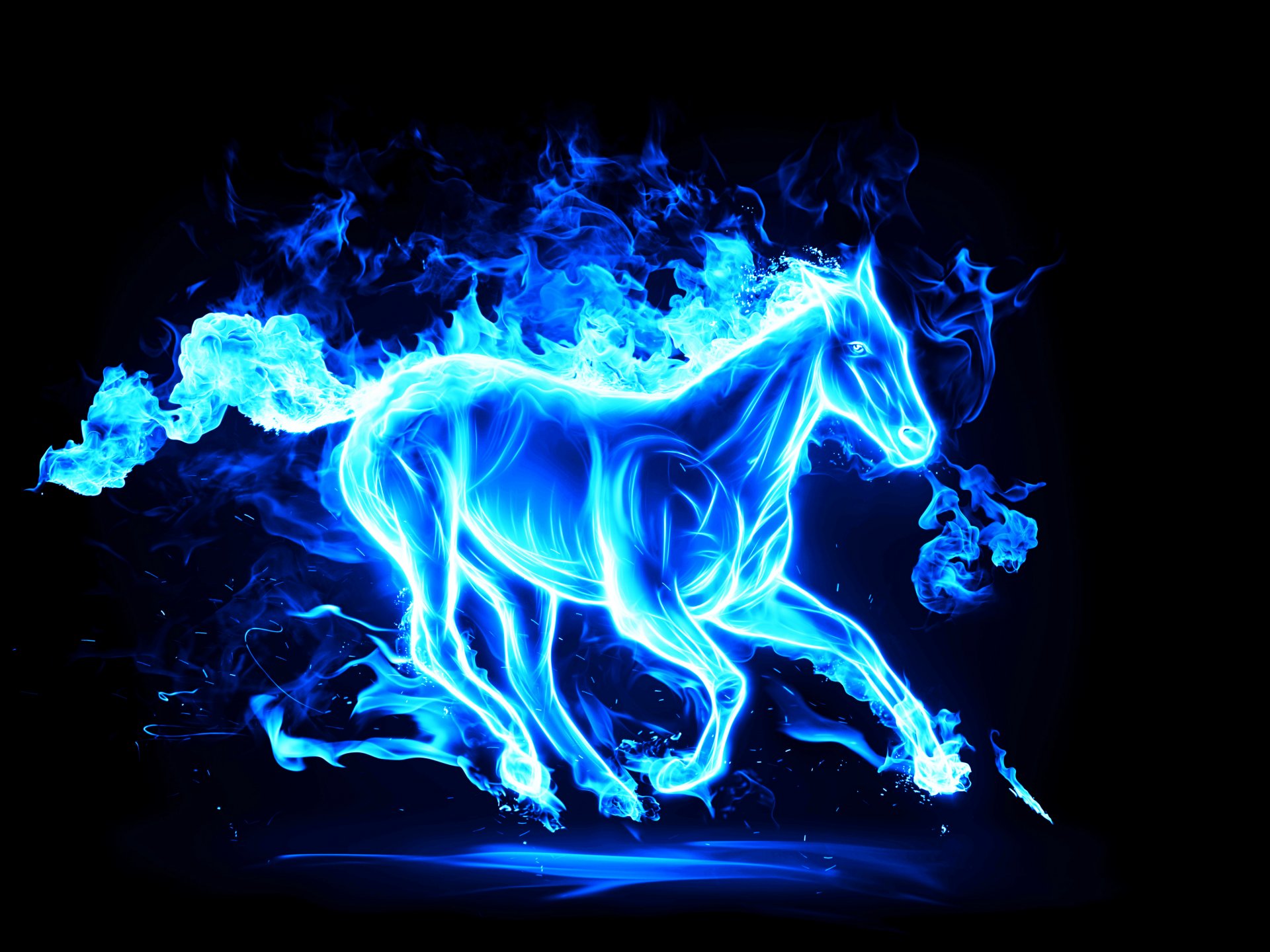 2014 año nuevo caballo caballo feliz año nuevo símbolo 2014 azul ultramarino caballo azul