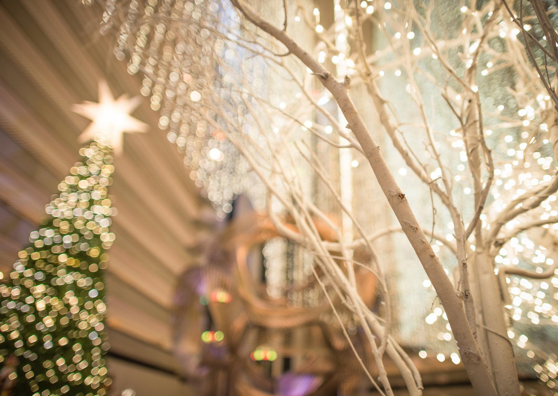 año nuevo navidad san francisco estados unidos vacaciones vacaciones ciudad árbol de navidad calle luces árbol bokeh