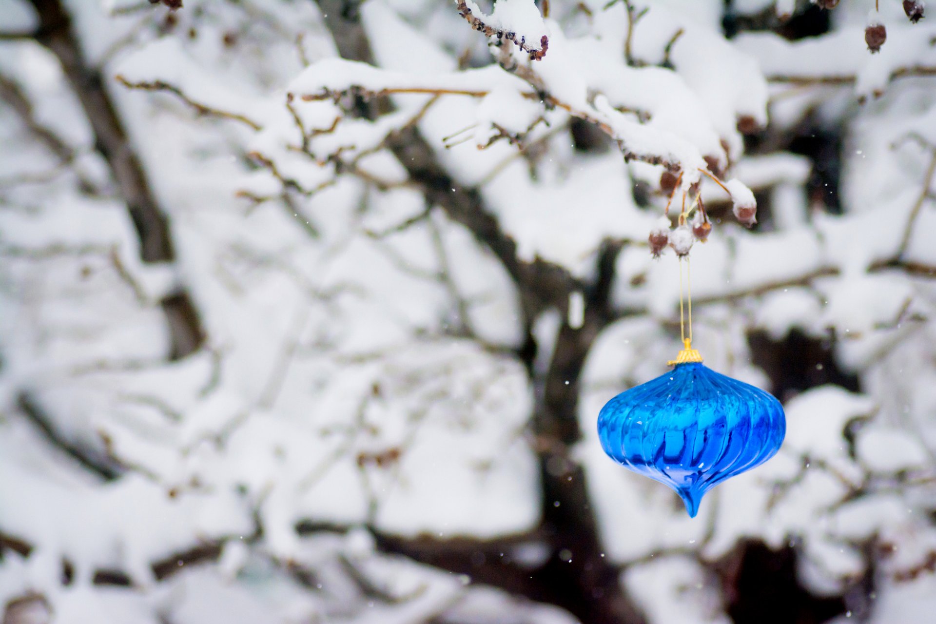 juguete árbol de navidad azul año nuevo ramas árbol nieve año nuevo navidad vacaciones invierno