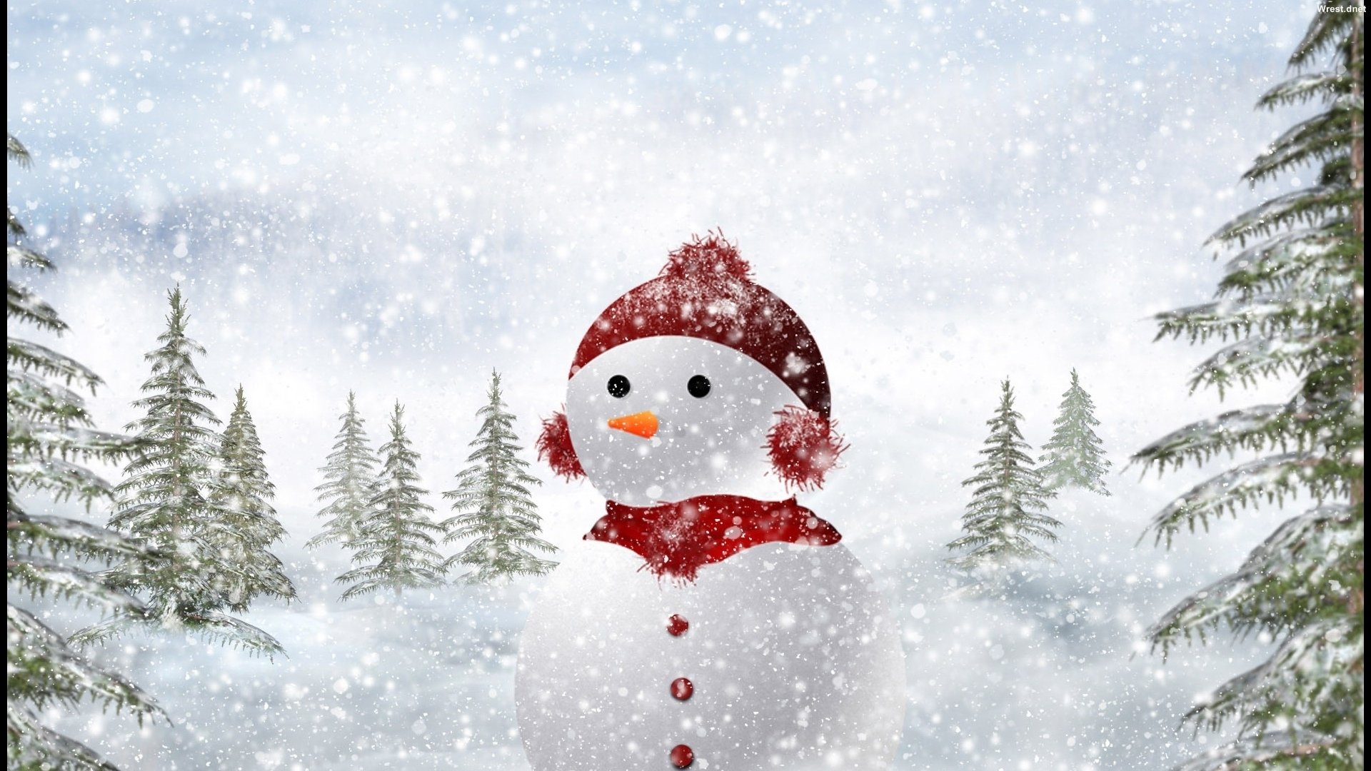 nowman winter snow christmas tree nature