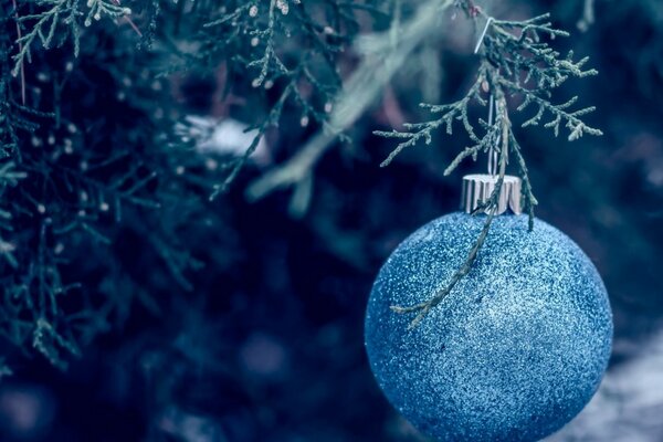 Blue Christmas ball on the Christmas tree