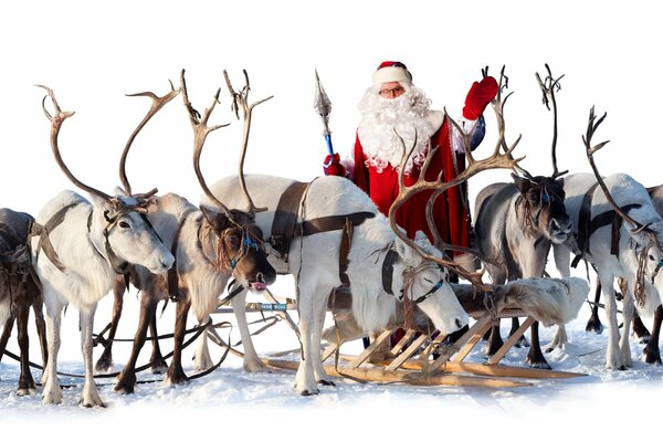 Santa Claus in a sled with reindeer