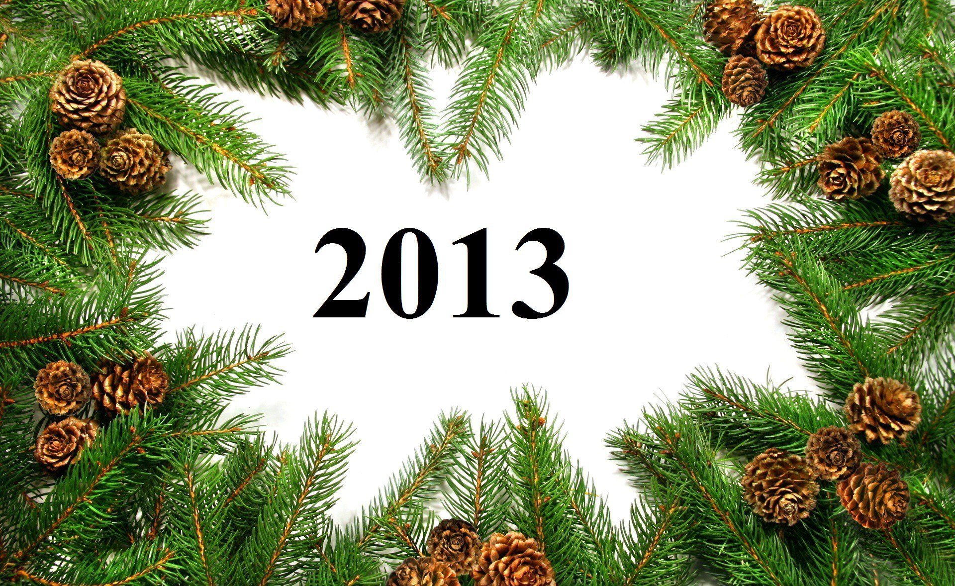 happy new year new 2013 year branches cone