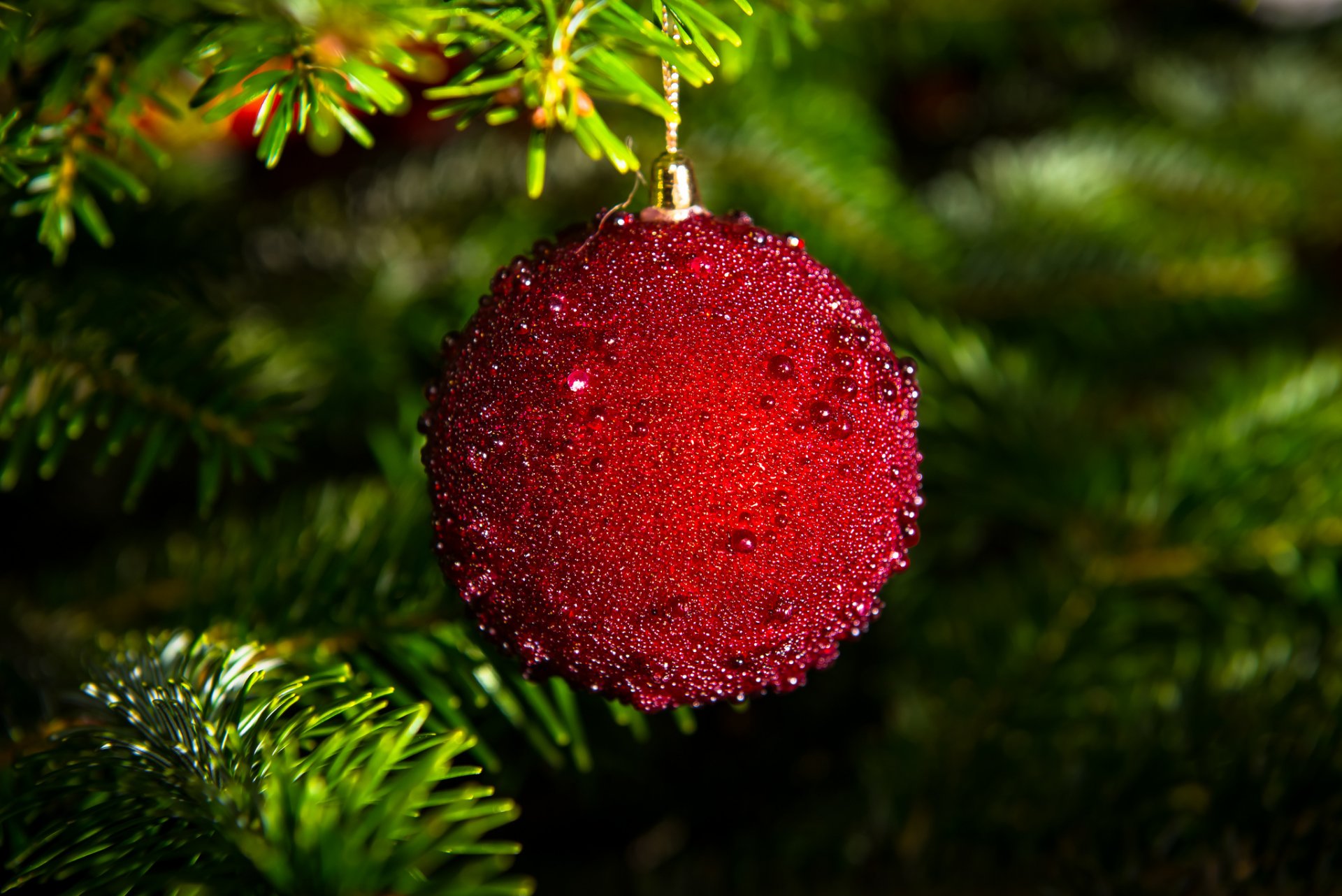 ball red christmas tree branches spruce christmas toys christmas tree ball decoration holidays new year christma