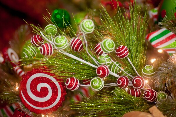 Decorative pine branch. Lollipops