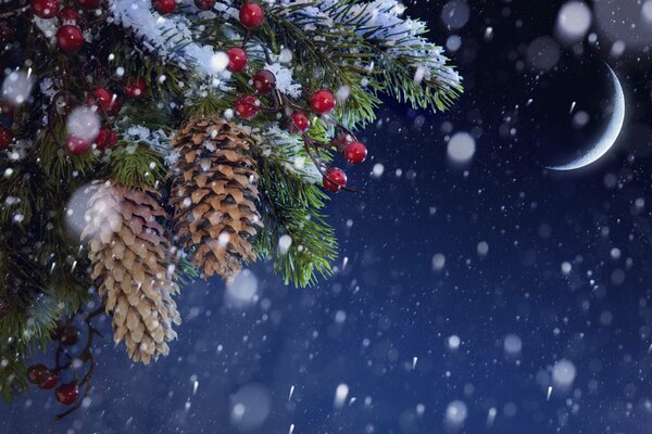 Cônes de sapin sur un arbre de Noël festif avec des flocons de neige