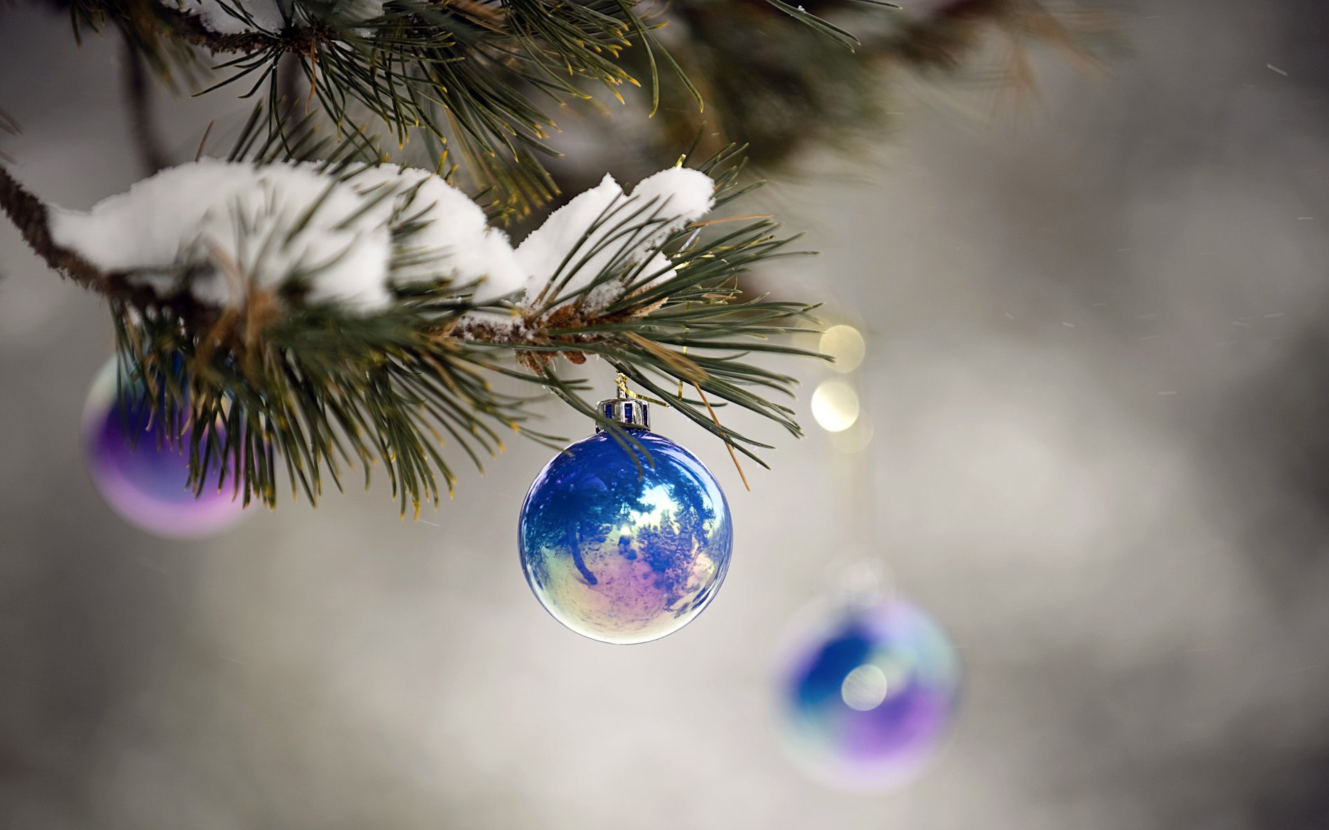 holiday new year christmas tree balls blue brilliant close up branch snow