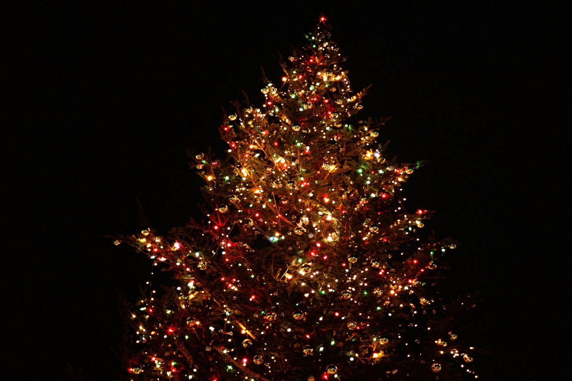 nuovo anno albero di natale decorazione carta da parati