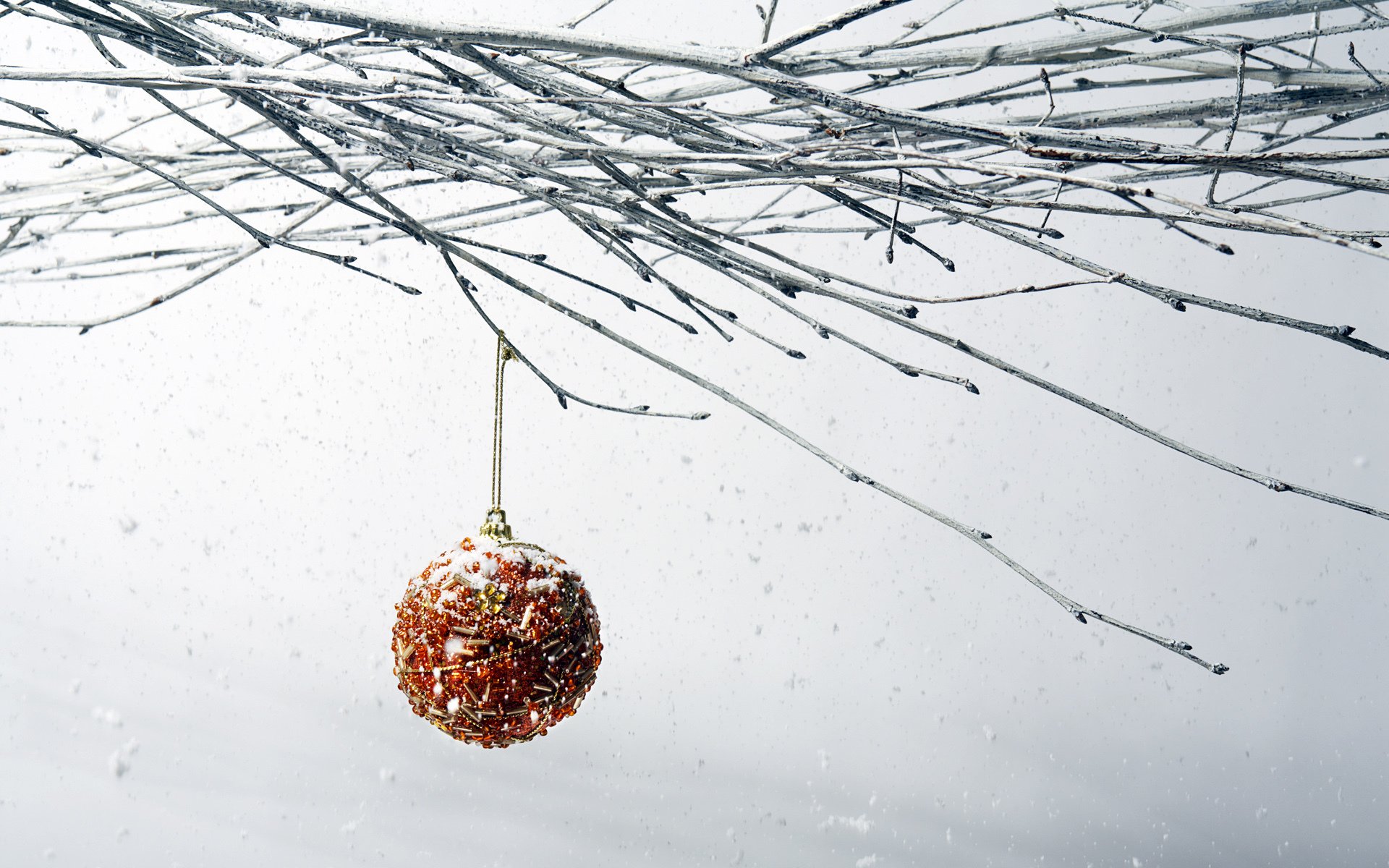 nouvel an branche boule de noël neige